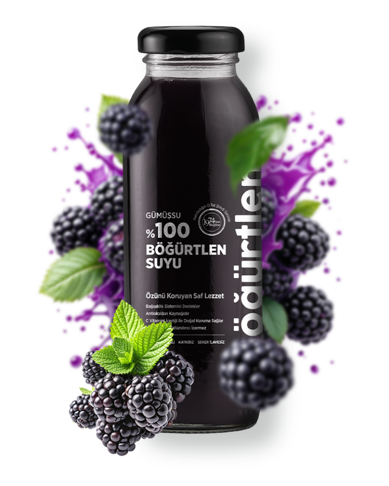 %100 BÖĞÜRTLEN SUYU