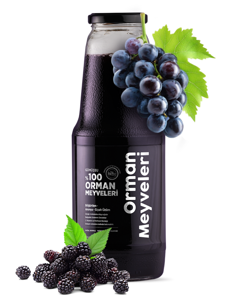 %100 ORMAN MEYVELERİ SUYU - 1 L